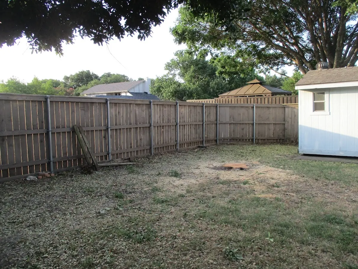 Cleared yard after professional tree removal in Dutton